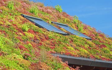 Twyn Yr Odyn living roof systems